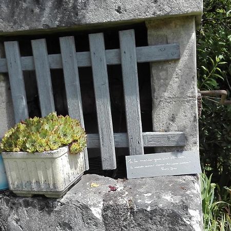 Gite O Beauval Saint-Aignan  Εξωτερικό φωτογραφία