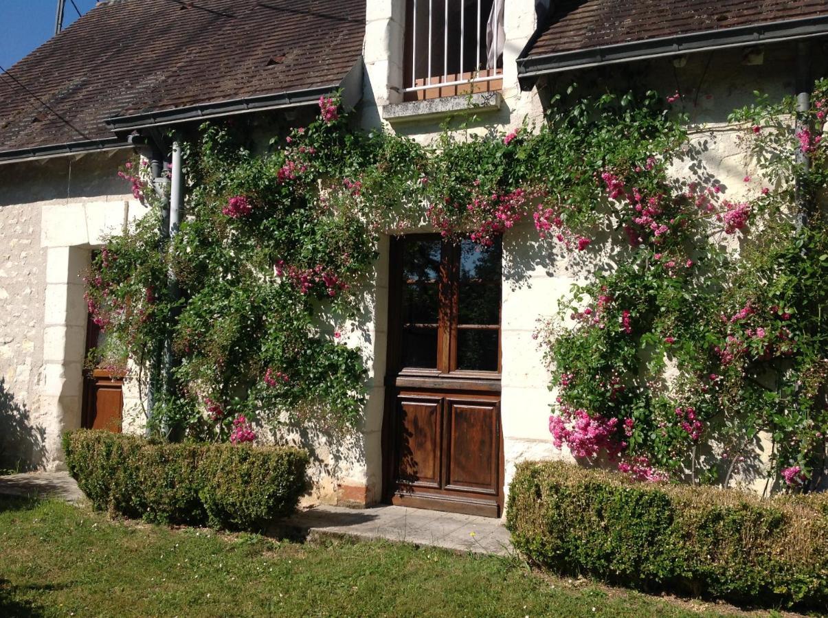 Gite O Beauval Saint-Aignan  Εξωτερικό φωτογραφία