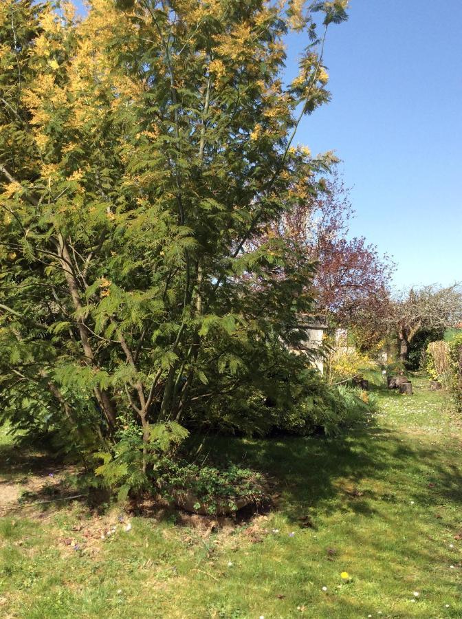 Gite O Beauval Saint-Aignan  Εξωτερικό φωτογραφία